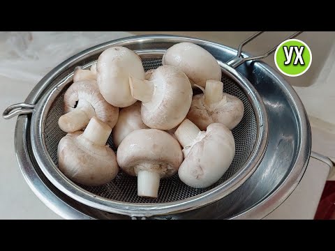 Грибной день! Эти рецепты я записала себе в тетрадь, чтобы не потерять