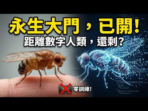 😱人類永生已打通?掃描大腦即刻上傳!Eon Systems 震撼發布:首個擁有靈魂的數字生命!🕸️