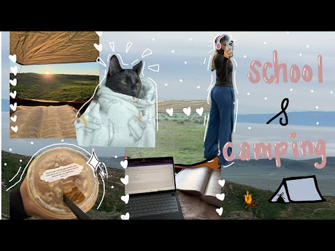 first housemates mini adventure of the year :3