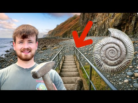 We Found Perfect Ammonites Scattered Across This Wild Pebble Beach!