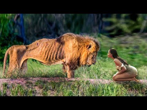 Unglaubliche Momente, in denen Tiere um Hilfe baten!