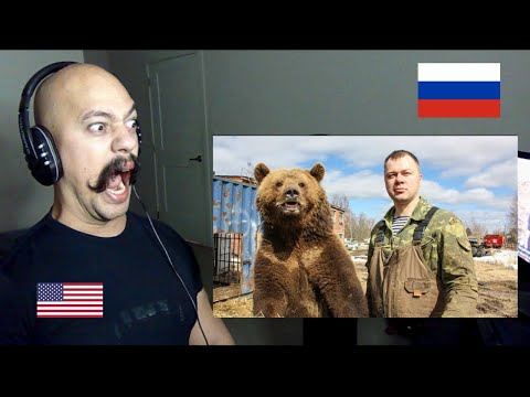 American Reacts to Пилот и медведь невероятная дружба, начавшаяся на взлетной полосе