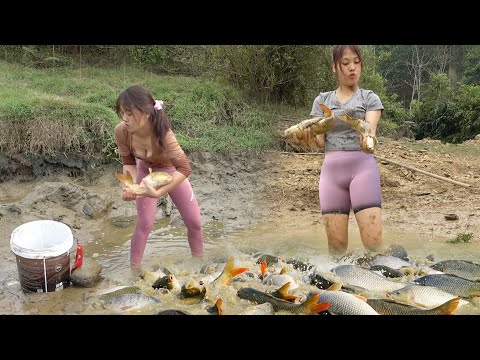 REWIND TIME-LAPSE VIDEO: Hunting Wild Fish, Fishing on Rivers and Lakes, Catch a Lots of Fish