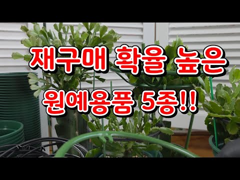 5 essential gardening supplies for cactus!!🌴 Hurry up!!🌴 Now, grow your plants with ease!!