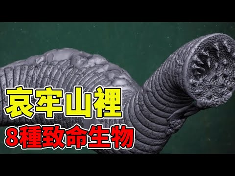 哀牢山裡的8種致命生物，小小山蛭一口斃命，第一名竟如此恐怖【黑土日記】