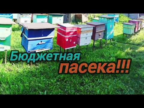 This is the best thing that can happen in beekeeping!