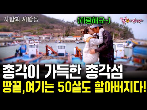 남해의 끝에는 총각들이 가득한 총각섬이 있다!!! 어느 총각섬의 공개구혼 [사람과 사람들] I KBS 2016.03.16