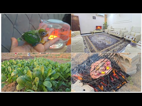 اجانه طفل رابع🤩هديه زوجي فاجئتي بس راح التعب😂لمساتي الشتويه للبيت شنو رأيكم💪ابني يحاول بالشعر🤣