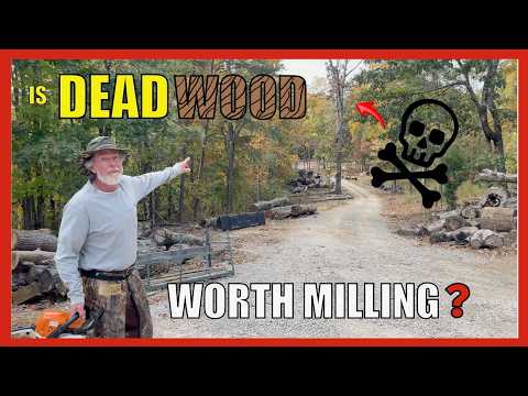 The Ultimate Guide to Dead Oak: From Forest toTimber Frame Masterpiece