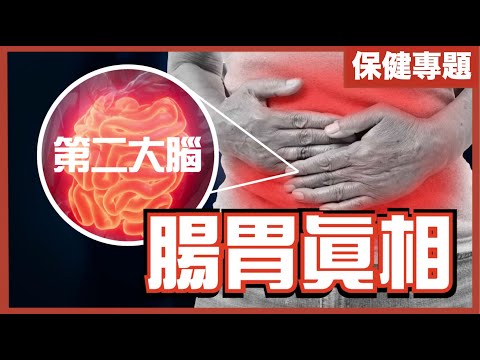 腸道細菌能控制你思想？｜腸道直接指揮大腦？｜第二大腦｜不是陰謀論｜中文字幕