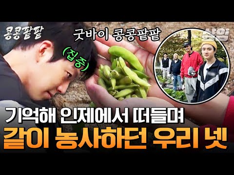 [#콩콩팥팥] 안녕 콩팥팸, 시즌2에서 만나👋🏻 오늘도 사이 좋은(?) 이광수X도경수부터 조인성을 놀라게 한 라면 7봉 먹방까지ㅋㅋㅋ 콩팥 멤버들의 인제 마지막 날💚