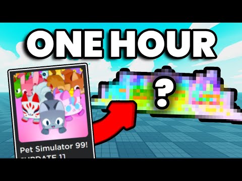 I Made Pet Simulator 99 in 1 Hour..