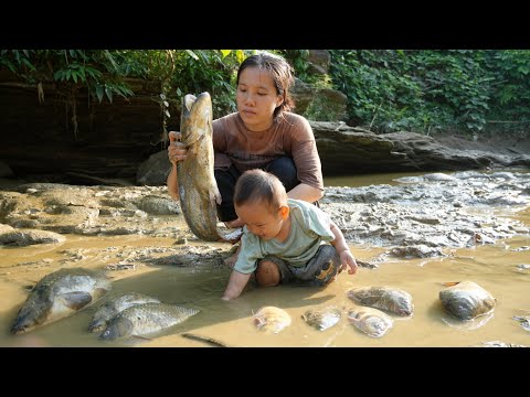 Full video of 4 episodes: Single mother and baby go catch fish, trap fish, primitive fishing methods