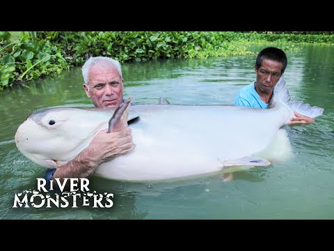 River Monsters - All Full Episodes of Season 7