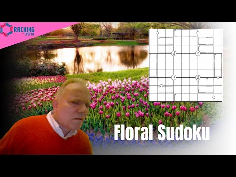 A Sudoku Blooms before our Eyes
