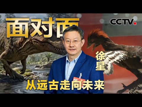 鸟类是恐龙的后裔？专访 “恐龙院士” 徐星，他让80多种恐龙拥有“中国名字” | CCTV「面对面」