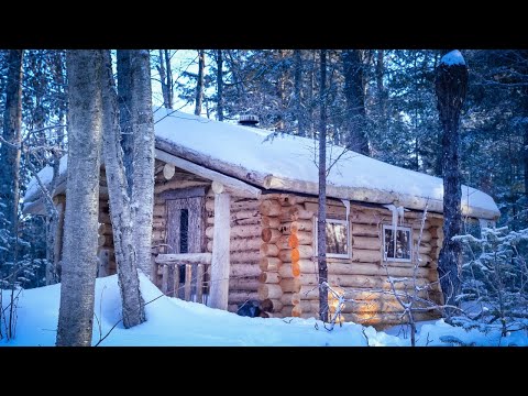 Call of the Wild | Fire, Snow, Remote Wilderness Cabin | Forest Sounds