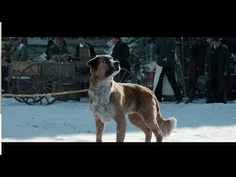 The True Leader | Buck's Arrival in Alaska