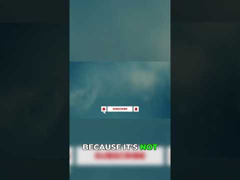 Why Porsche gets it: No compromise on feeling. 🔥