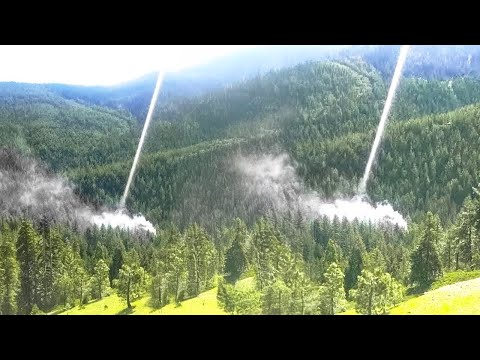 Stop Planting Trees!