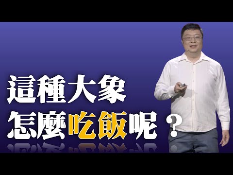 715｜王世骐：这种大象的下巴带着一个大铲子，大家最好奇的是，它究竟要怎么吃饭呢？｜中国科学院古脊椎动物与古人类研究所｜格致SELF