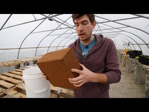 Peat Vs Coco Peat + How to Make A SIMPLE DIY Potting Mix