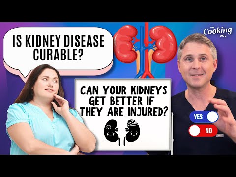 Is Kidney Disease Curable? Can Injured Kidneys Get Better?