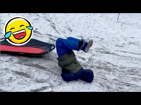 Best Funny Videos Of 2025 😂 TRY NOT TO LAUGH Funny Videos #10 😂