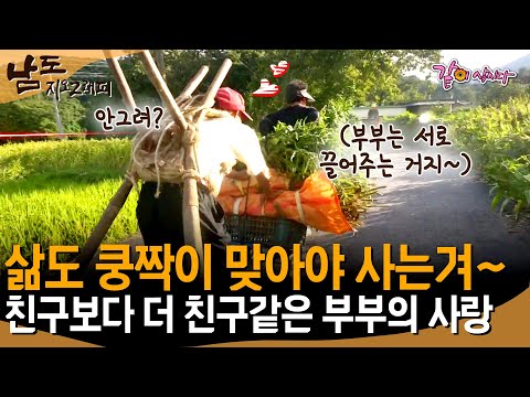 [남도지오그래피] 친구보다 더 친구 같은 할머니 할아버지!💓 쿵짝이 맞아도 이렇게 잘 맞을 수 없다!😆ㅣKBS 2018.09.27