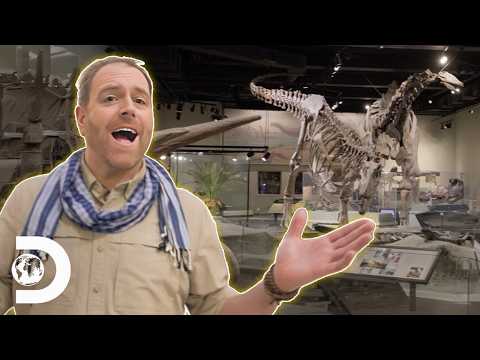Josh Gates Hunts The Truth Behind The World's Deadliest Lions | Expedition Unknown