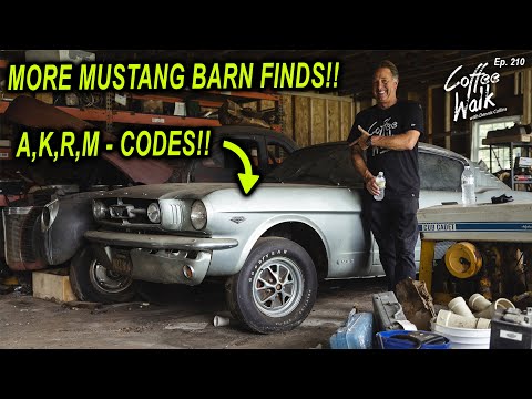 Barn Find: 4 Incredibly Rare Mustangs!!