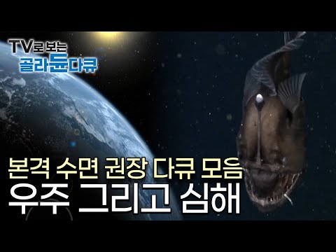 [수면다큐] 편집자도 편집하다 잠든, 본격 수면 권장 다큐 모아보기｜자기 전 틀어놓는 영상｜우주와 심해｜#골라듄다큐