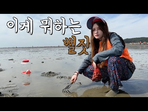 바지락 값이 올라, 프랑스 아내와 직접 바지락을 잡아 칼국수를 만들어 봤다 ㅋㅋㅋ