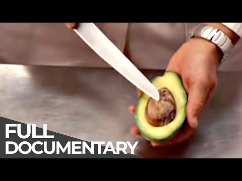 HOW IT WORKS | Bicycle locks, Tea lights, Avocado harvest, Wrapping paper | Episode 23