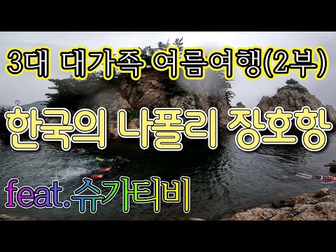 [슈가티비] 제 50화 대가족 여름 여행 2부 (한국의 나폴리 장호항)