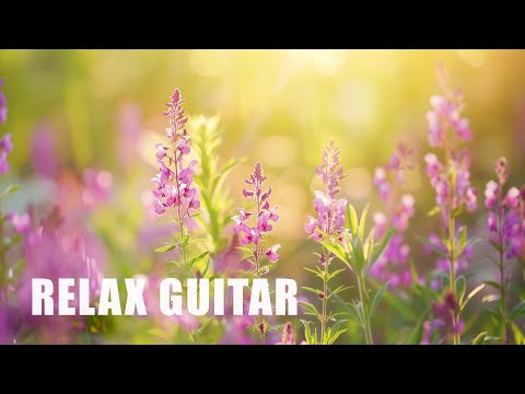 Peaceful Sleep Music: 12 Hours of Soft Guitar for Deep Relaxation (Serenity)