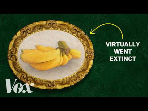 99% of our bananas could be doomed. Can we stop this?