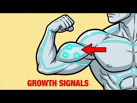 The REAL Science of Muscle Growth (Most Lifters Get This Wrong)