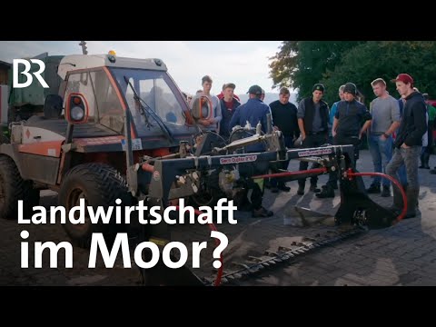 Landwirtschaft auf nassen Moorwiesen? Zwischen Spezialmaschinen und robusten Rindern | UNKRAUT | BR