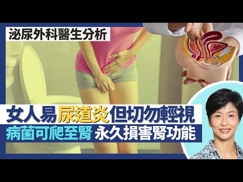 女性尿道炎（上）｜點解女人易啲下尿道感染兼多數同時患膀胱炎？尿道炎病菌可爬至腎臟引發急性腎炎永久損害腎功能！三大尿道炎病徵：尿頻、如廁痛、下腹痛！｜王建芳醫生 泌尿外科醫生張皓琬醫生｜人類健康研究所