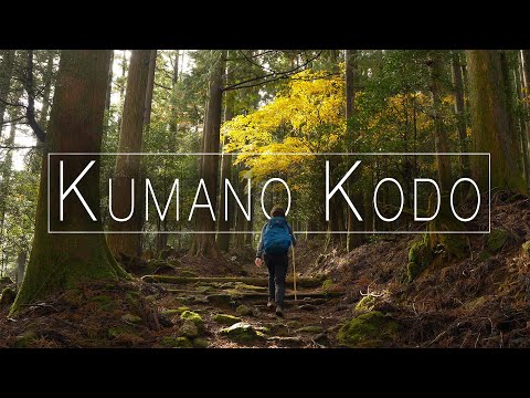 HIKING | The ancient KUMANO KODO Trail, Japan