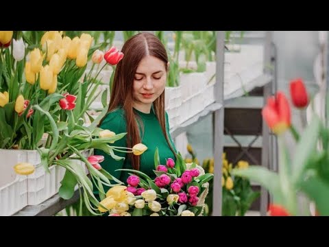 Хочешь заработать на тюльпанах 8 Марта? Посмотри, как у меня это происходит…