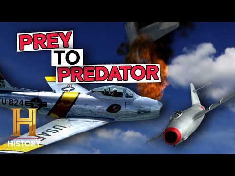 Elaborate Bait and Switch Sting | Dogfights | History