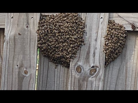 This Might Not End Well