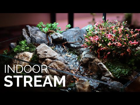 Stunning Indoor Micro Landscape with Flowing Stream