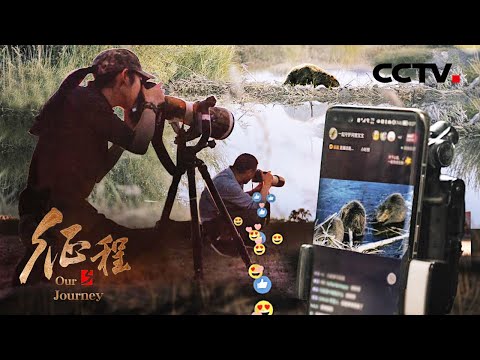 “河狸公主”将保护野生动物进行到底，长江捕鱼人转变为“护渔人” 第9集 望山河容颜 | CCTV「征程」