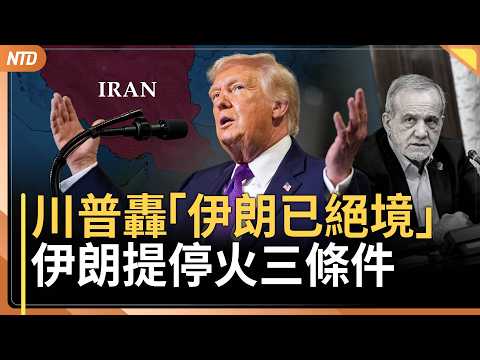 川普直指「伊朗已到絕境」 ！伊朗提停火條件｜聯合國安理會譴責伊朗攻擊海灣國！中俄棄權｜伊朗企圖挑動石油戰！川普多招反擊｜義大利WBC救美！美媒提議送阿瑪尼回禮｜20260312(四)｜新唐人電視台