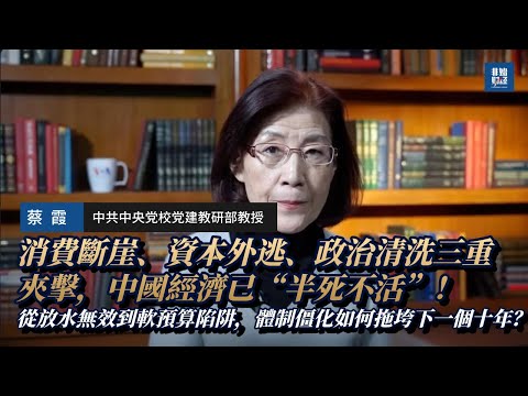 【蔡霞深度警告】消費斷崖、資本外逃、政治清洗三重夾擊，中國經濟已“半死不活”！從放水無效到軟預算陷阱，體制僵化如何拖垮下一個十年？#中国经济 #制度危机  #资本外逃 #社会动荡  #体制危局