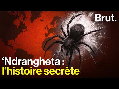 Comment la 'Ndrangheta est devenue l'une des mafias les plus puissantes du monde