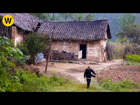 Orphaned boy returns to renovate old house to help poor grandparents raised him when he was a child